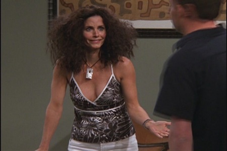 Who says this: "I don't want to alarm anybody but Monica's hair is twice as big as it was when we landed"