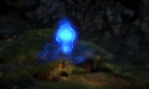  Who does not believe that Will-o-Wisp lead tu to your fate?