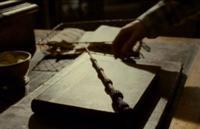  The Elder Wand contains _______________ for its core.