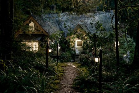 T/F Edward and Bella don't have a bed inside their room in their own cottage