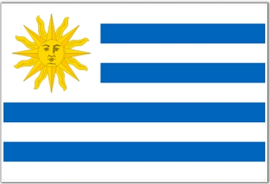  Which country's flag is this?