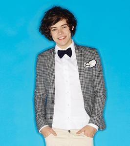  What was the name of Harry's band before he auditioned for The X Factor?