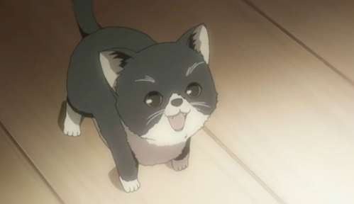 What anime is this animal from?