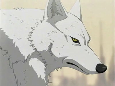 Is this Wolf a boy or a girl?