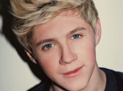  Which part of the body itself is the प्रिय of Niall Horan?