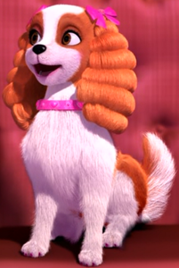  What is the name of Tori's pet female dog
