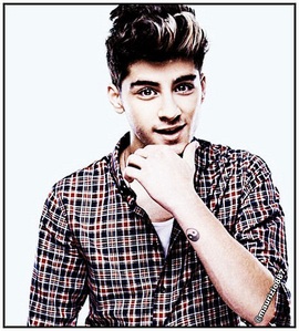  What is Zayn´s favorito! book?