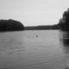 lake :) lovelylullaby photo