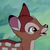 Bambi! MalloMar photo