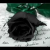  Black-Rose-DxG photo