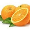 Oranges Zendaya90 photo
