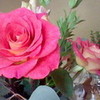 Roses, taken on the 3DS camera AmyelKitten photo