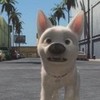 Bolt is happy that he made it to Hollywood  ShadowBolt2012 photo