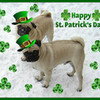 St. Patrick Day Pugs DaPuglet photo