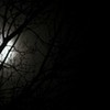 creepy, full moon/tree pic. 101trx photo
