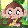 it so cute !!! monkeylover2002 photo