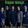 Teen Wolf banner TW_FAN21 photo