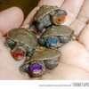 Turtles rule mesgar1 photo