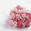 Roses tambrin photo