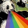 Panda barfybarf LiveLoveMusic photo