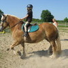 this is me riding dolly  jbandhorselover photo