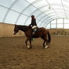 this is me riding finster jbandhorselover photo