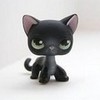 black cat in plain room lps-lover photo