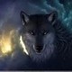 darkwolf396's photo