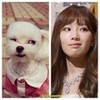 I see no difference Kookie_monster photo