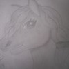 a horse that I drew! Dynofox15 photo