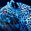 Cool Cheetah CheetahGirl5147 photo