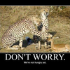 Funny Cheetah CheetahGirl5147 photo