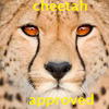 Cheetah Approved CheetahGirl5147 photo