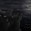 Crowfeather and Nightcloud HollyleafRules photo