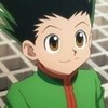 Gon freecs from 