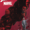 Netflix Daredevil Art By Liam Zed ryokensai photo