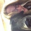 Me and my dog, Ice! katphilpot photo