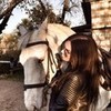 Love horses Blurry_Berry photo