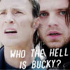 Who the hell is Bucky?? [Made by me.] xoheartinohioxo photo