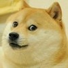Doge, the meme that marked the start of the MLG era. loltroll photo