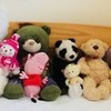 My cute bear collection charlottxxx photo