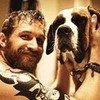 Tom Hardy with a Dog valleyer photo
