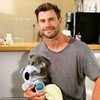 Chris with a baby koala aprildawn73 photo