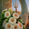 Saguaro Cactus 3 Fanfreak48892 photo