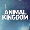  Animal Kingdom (TNT)