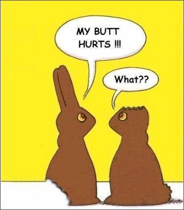  Funny चॉकलेट bunnies