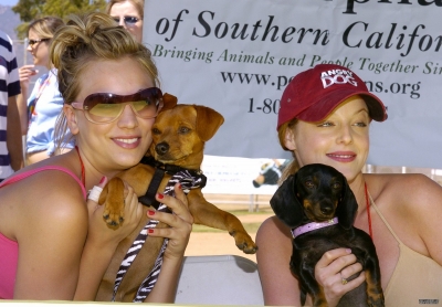  Hang Paws Animal Rescue and Adoption Event