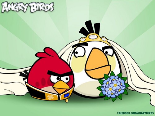 Married Angry Birds