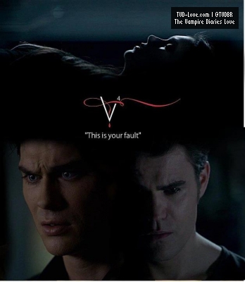 TVD posters
