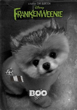  Boo (Frankenweenied)